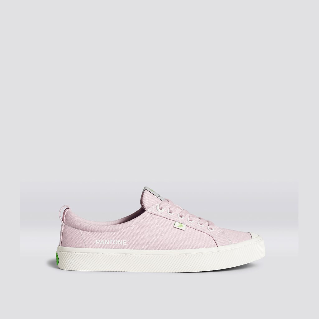 OCA LOW Cariuma Low Top Tela Pale Lilac Homme | UPC-9583409